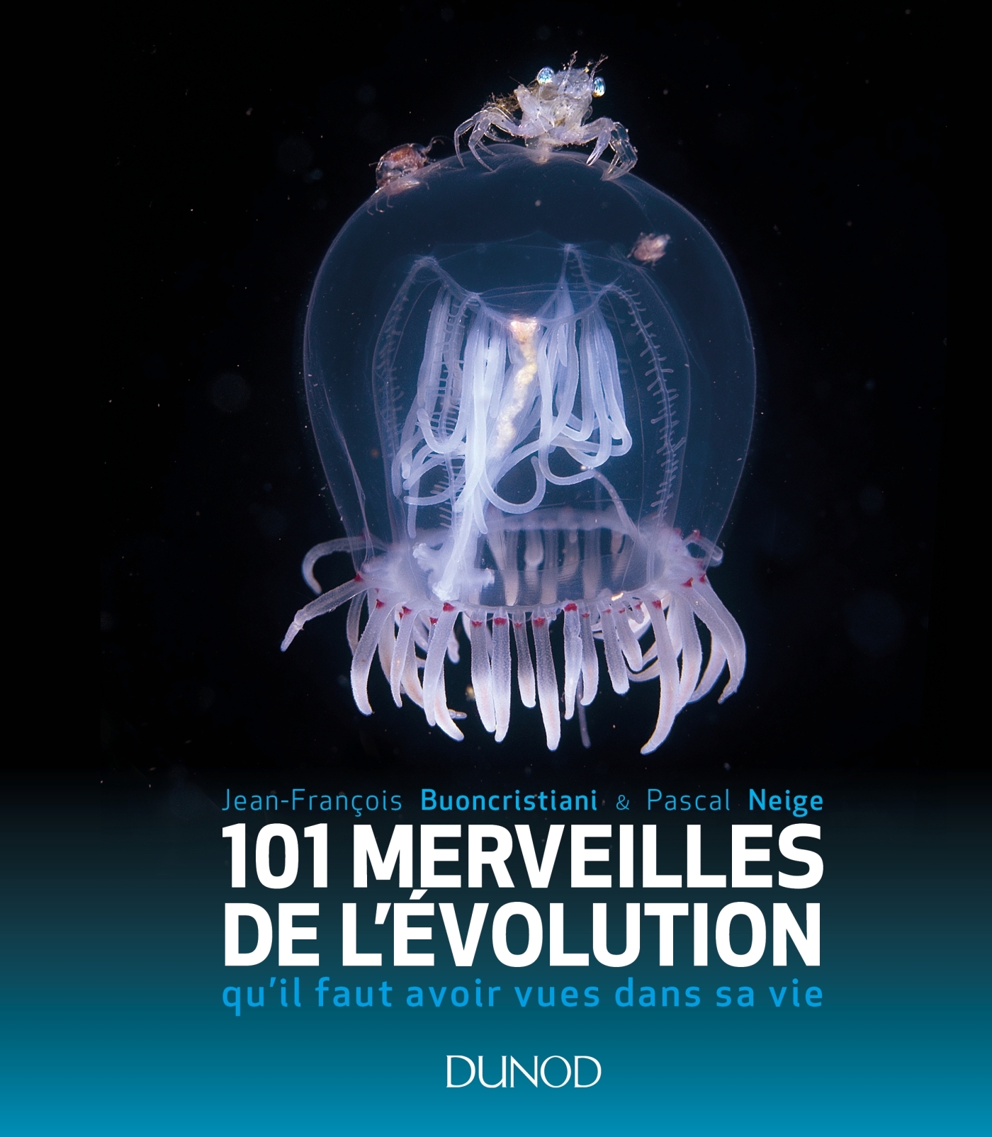 Merveilles De L Volution Qu Il Faut Avoir Vues Dans Sa Vie