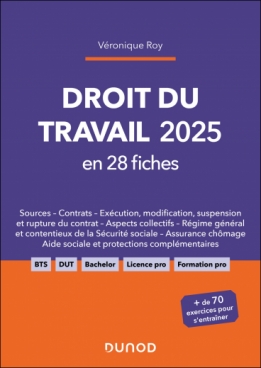 Droit du travail 2025 en 28 fiches