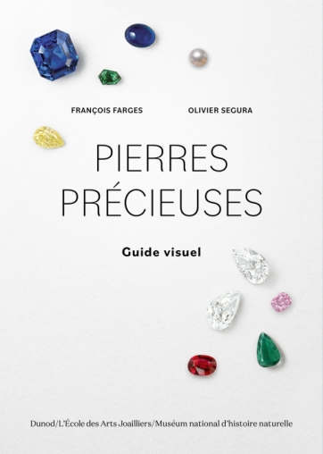 101 minéraux et pierres précieuses - Qu'il faut avoir vus dans sa vie -  Livre et ebook Sciences de la Terre et environnement de Jean-Claude  Boulliard - Dunod
