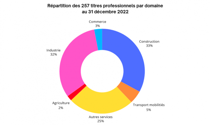 Répartition des 257 titres professionnels par domaine au 31 décembre 2022